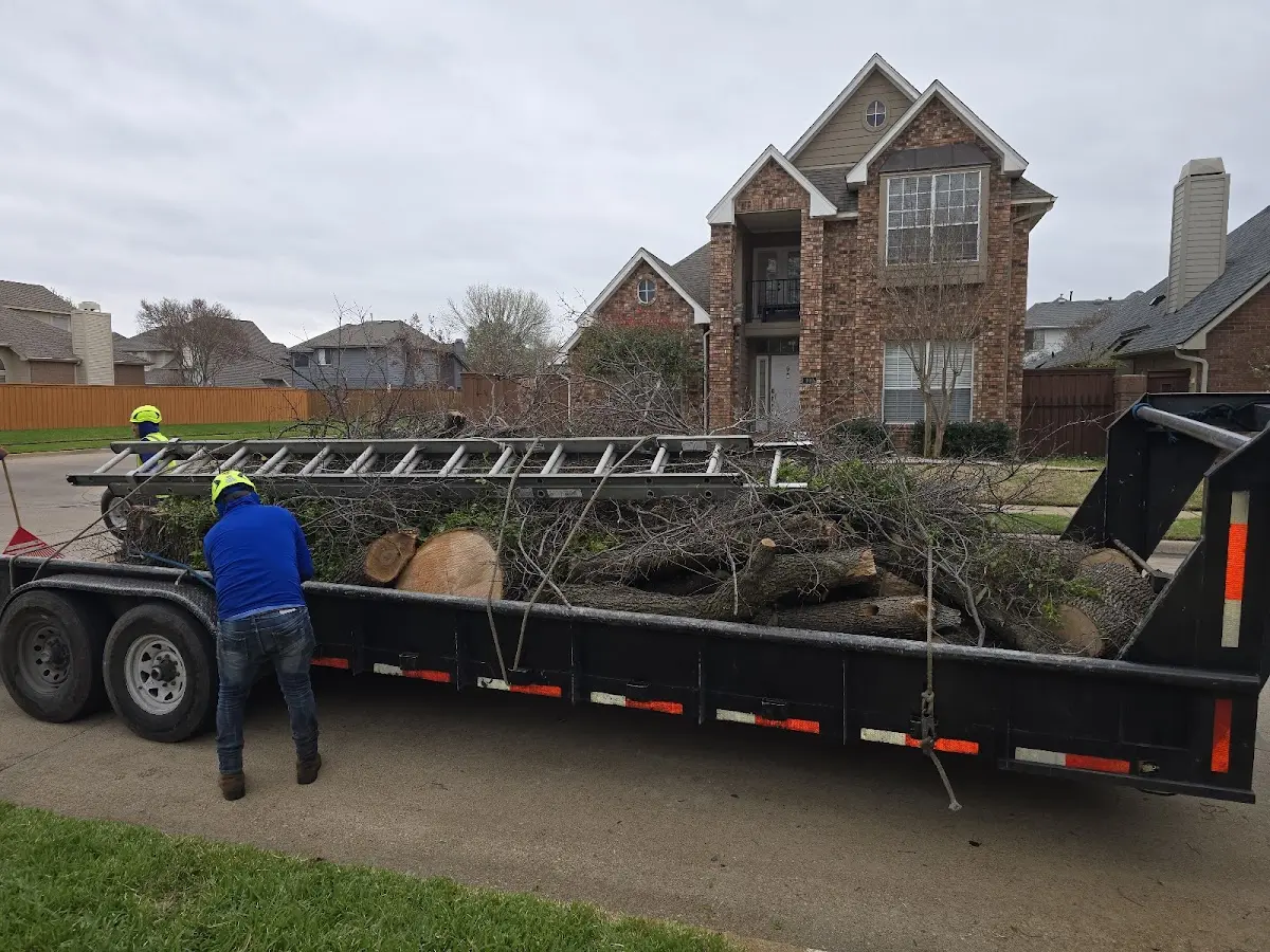 Expert Tree Fertilization with proper safety equipment in Hayden